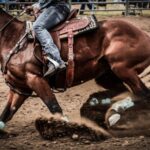 Equitazione