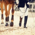 Feet,Sports,Horse,And,Rider,After,The,Competition.,Equestrian,Sport.