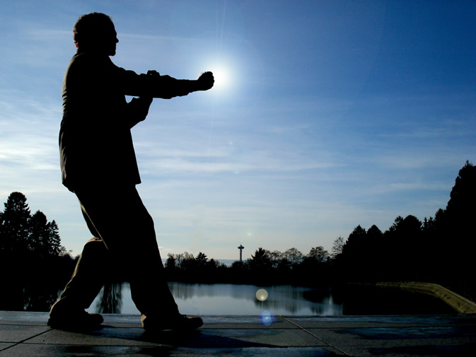 Scopri di più sull'articolo Stage Wing Chun