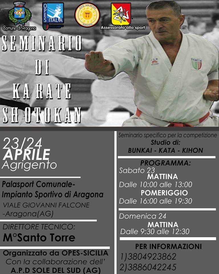 Scopri di più sull'articolo Seminario di Karate Shotokan