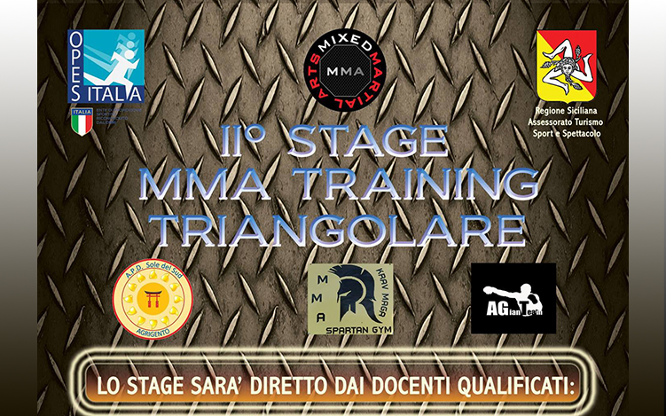 Scopri di più sull'articolo II° Stage MMA Training Triangolare