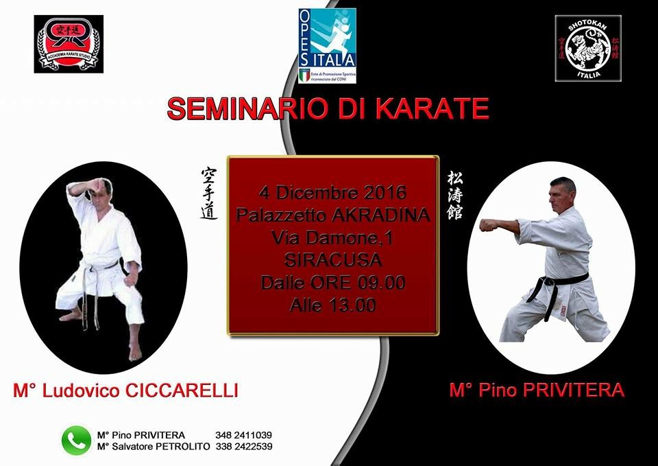 Scopri di più sull'articolo Seminario di Karate a Siracusa