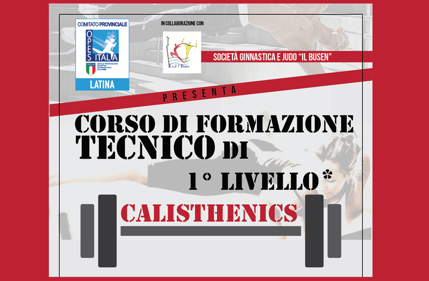 Scopri di più sull'articolo Corso Tecnico Calisthenics