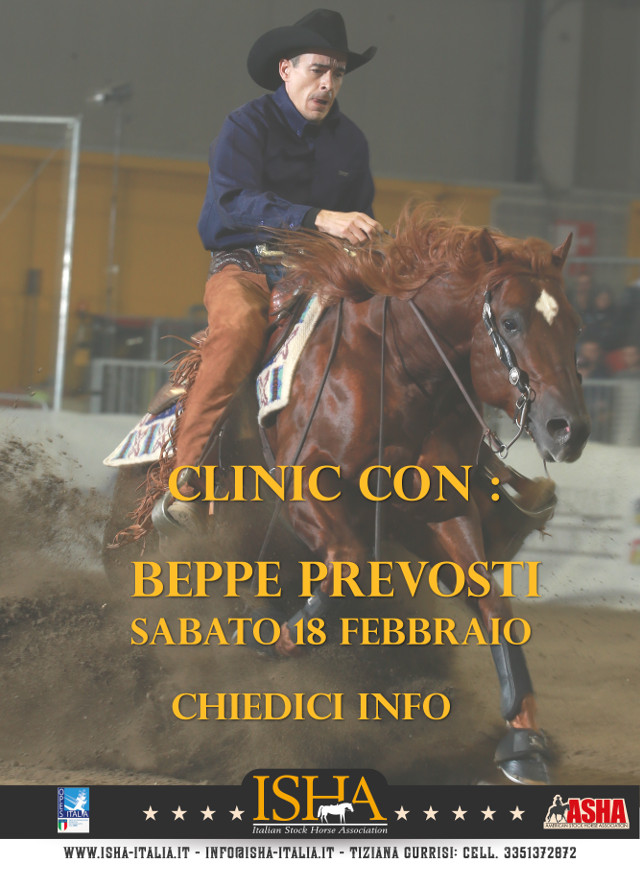 Scopri di più sull'articolo Equitazione: Clinic con Beppe Prevosti