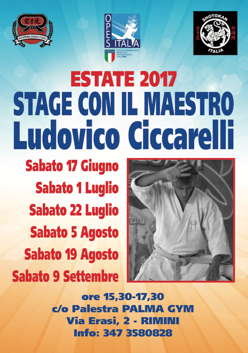 Scopri di più sull'articolo Karate: a Rimini Stage per l’estate 2017