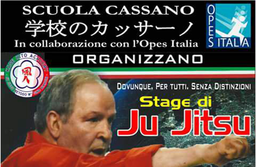 Scopri di più sull'articolo Stage Ju Jitsu e Karate