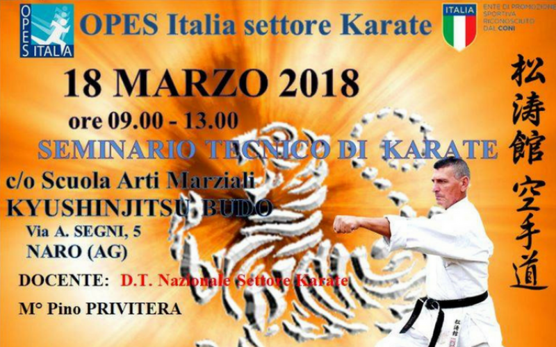 Scopri di più sull'articolo Seminario di Karate Shotokan