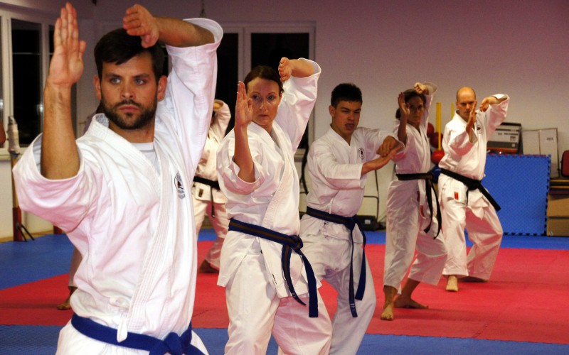 Scopri di più sull'articolo Siracusa, il 28 ottobre seminario di Karate con il Maestro Privitera
