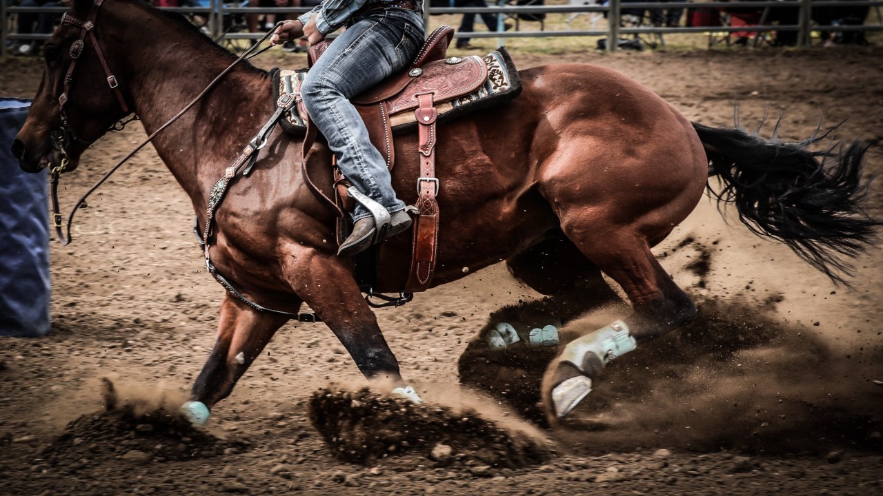 Scopri di più sull'articolo Sport equestri, tempo di premiazioni e Galà per i cavalieri di ISHA