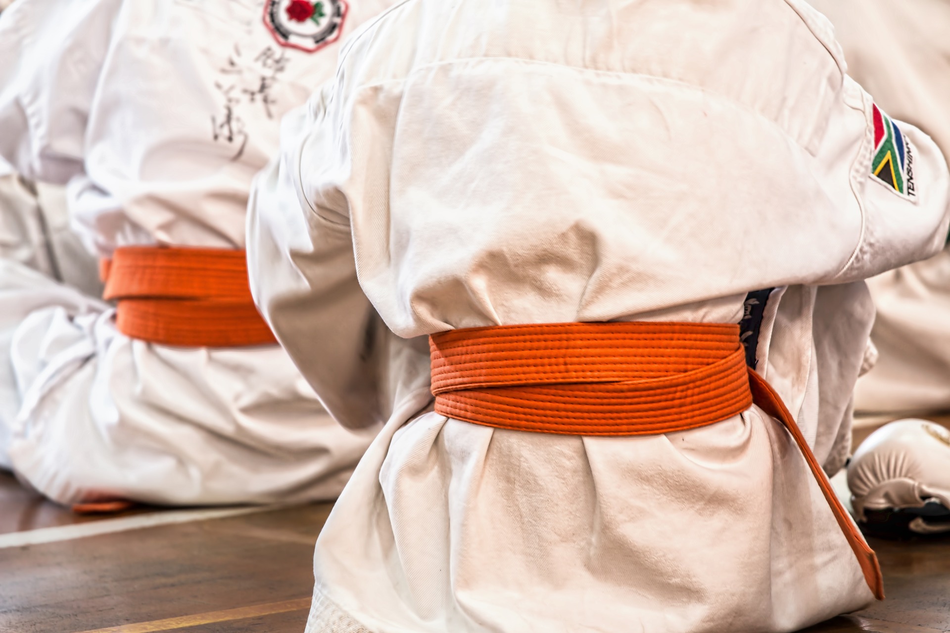 Scopri di più sull'articolo Karate e Tactical Defense Security Close Combat, a Segrate c’è il 1° Seminario 2018