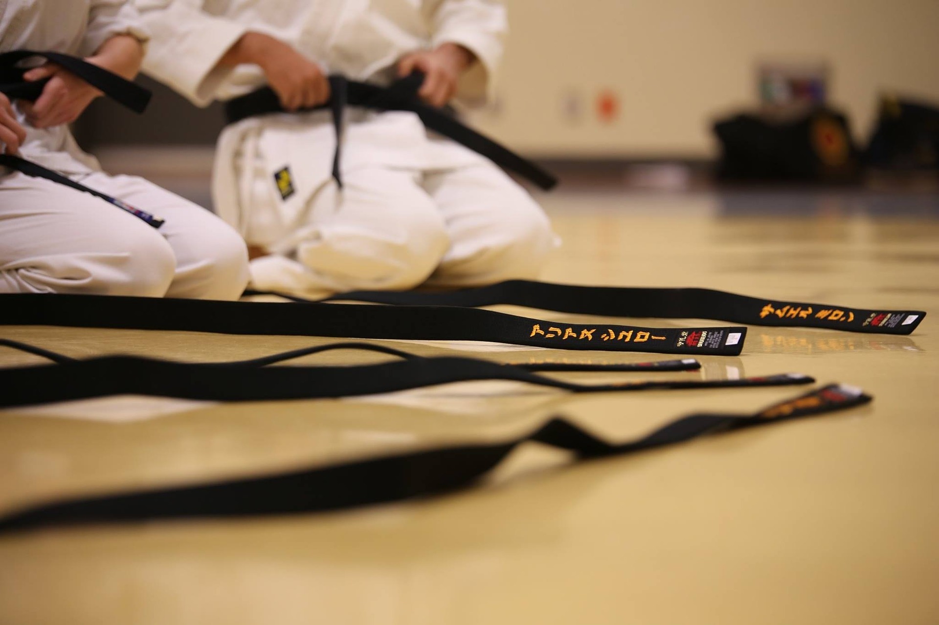 Scopri di più sull'articolo Seminario di Karate a Siracusa