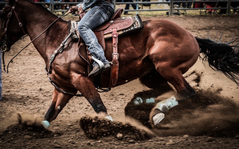 Scopri di più sull'articolo Equitazione americana, il 3 marzo in Lombardia parte il Regional Championship Reining e Performance