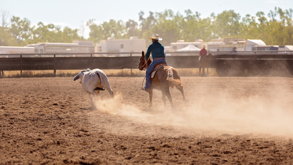 Scopri di più sull'articolo Equitazione americana in Sardegna. Appuntamento il 23 agosto con la Carolina Country Night