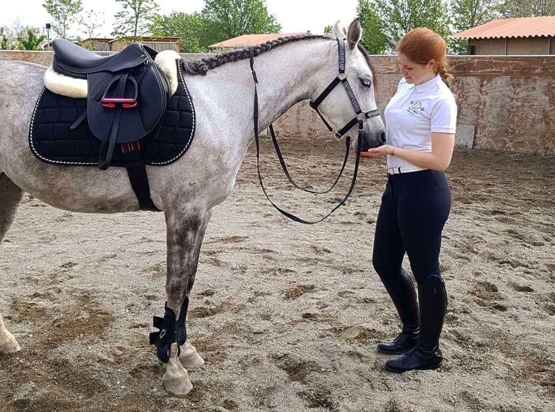 Scopri di più sull'articolo Equitazione, grande successo per il “battesimo” dell’Horse Natural Championship