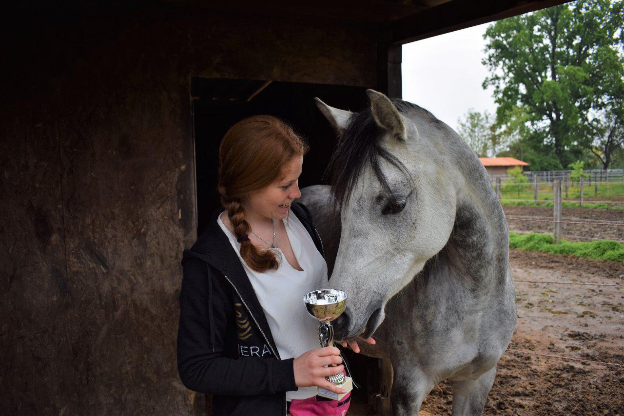 Scopri di più sull'articolo Equitazione, a giugno l’Horse Natural Championship sarà in Sicilia