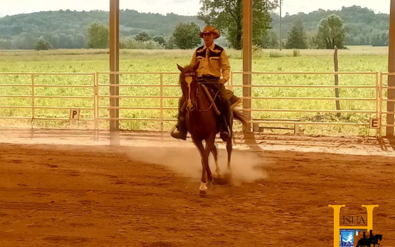 Scopri di più sull'articolo Western & English Dressage, tutti i risultati dei Campionati regionali di Piemonte, Lombardia e Veneto-Emilia Romagna