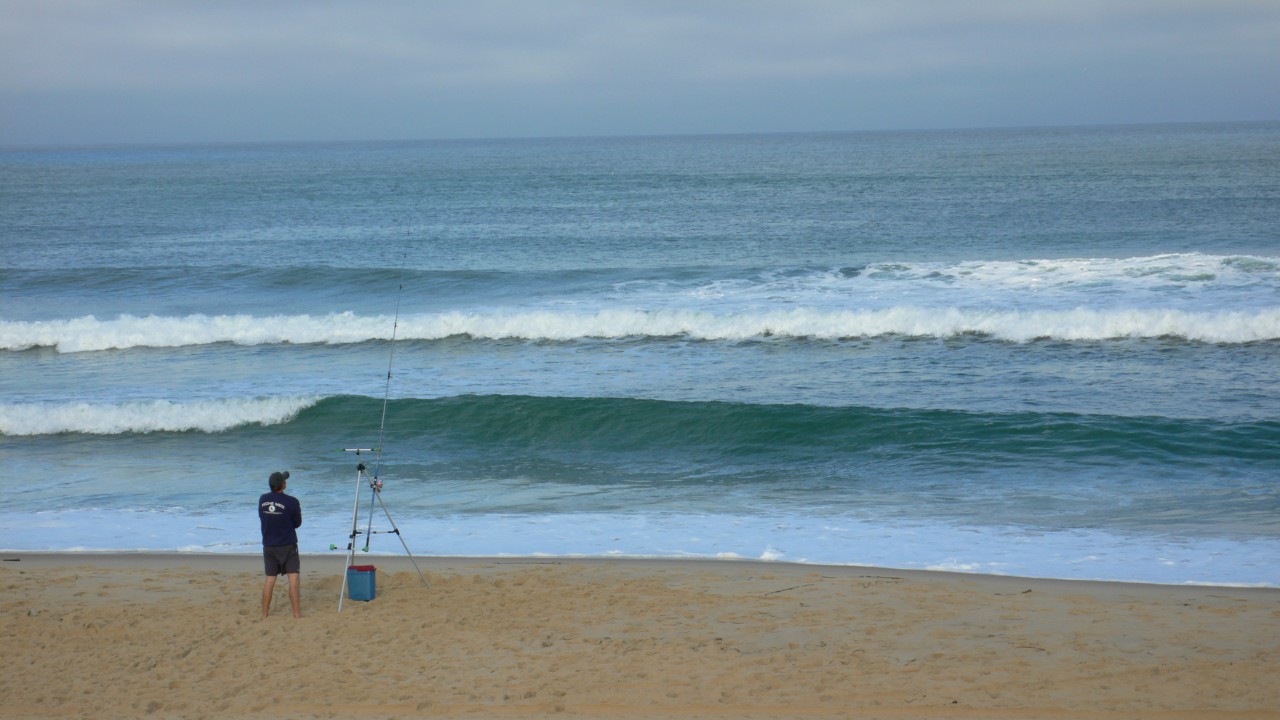 Scopri di più sull'articolo Surfcasting, il 21 settembre appuntamento a Scalea con il Trofeo OPES Calabria