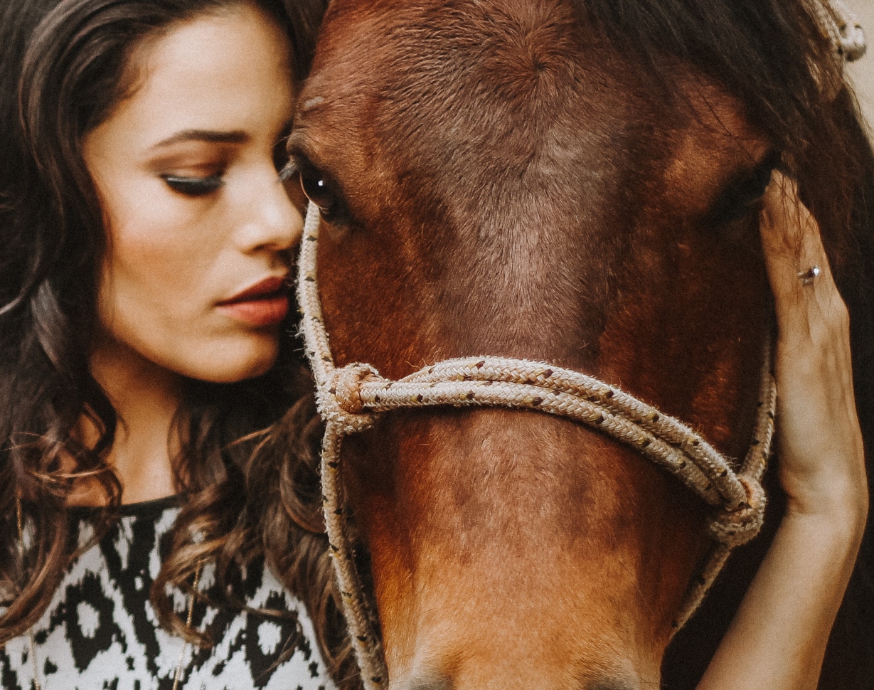 Scopri di più sull'articolo Horse Feeling, il percorso formativo che permette di conoscere e capire i cavalli