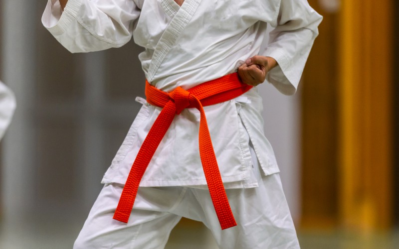 Scopri di più sull'articolo Coppa di Natale di Karate al Palazzetto HSC di Roma