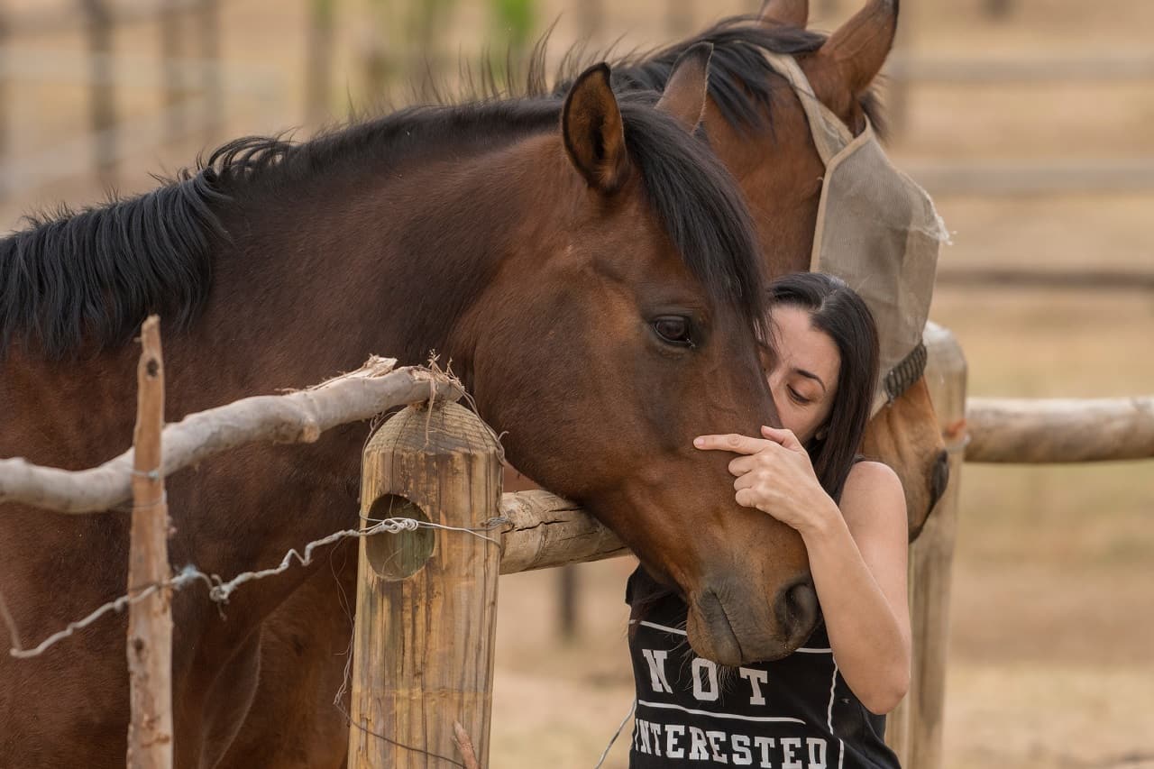 Scopri di più sull'articolo OPES promuove il percorso formativo dell’Horse Feeling