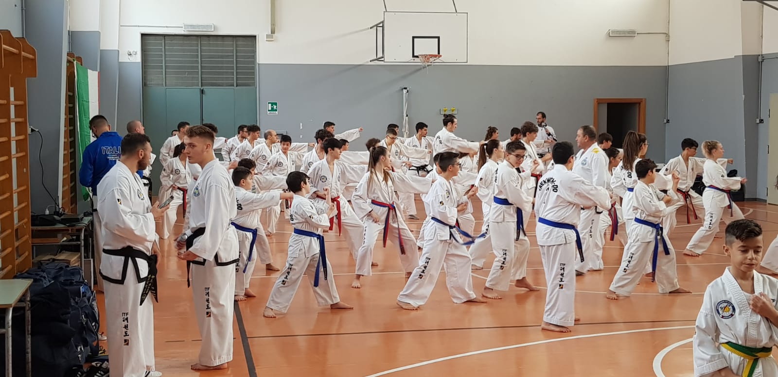 Scopri di più sull'articolo Taekwondo Itf: tra stage e gare è un periodo intenso per gli atleti della Fitsport Italia