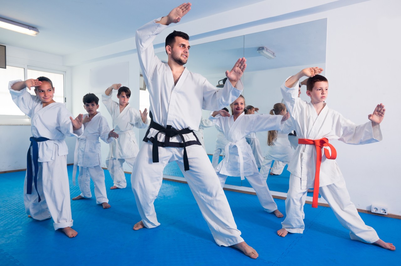 Scopri di più sull'articolo Karate: a febbraio partono i corsi di formazione per quadri tecnici ed arbitri