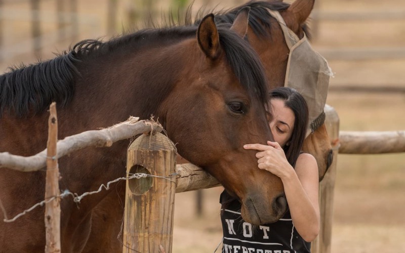 Scopri di più sull'articolo Horse Natural Championship, le giornate di prova in attesa del torneo di Mix Trail