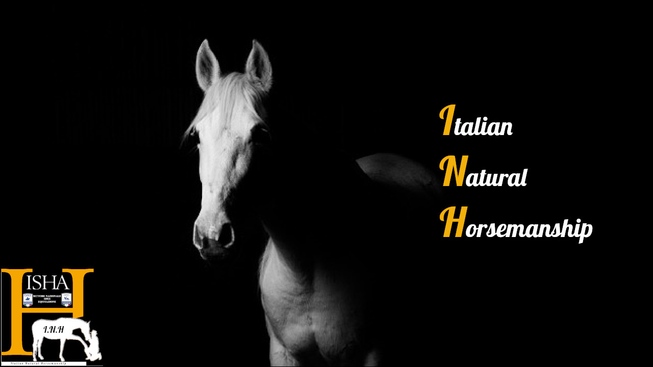 Scopri di più sull'articolo Equitazione: presentato il Dipartimento dedicato al Natural Horsemanship