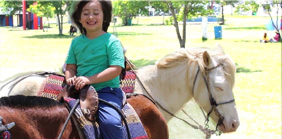 Scopri di più sull'articolo Un corso per diventare educatore sportivo in ambito equestre