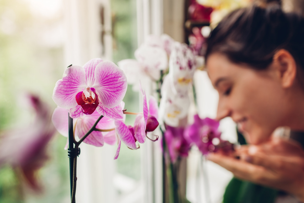 Scopri di più sull'articolo 26 e 27 settembre, Festa dei nonni: le Associazioni OPES al fianco di UNICEF nella campagna Orchidea