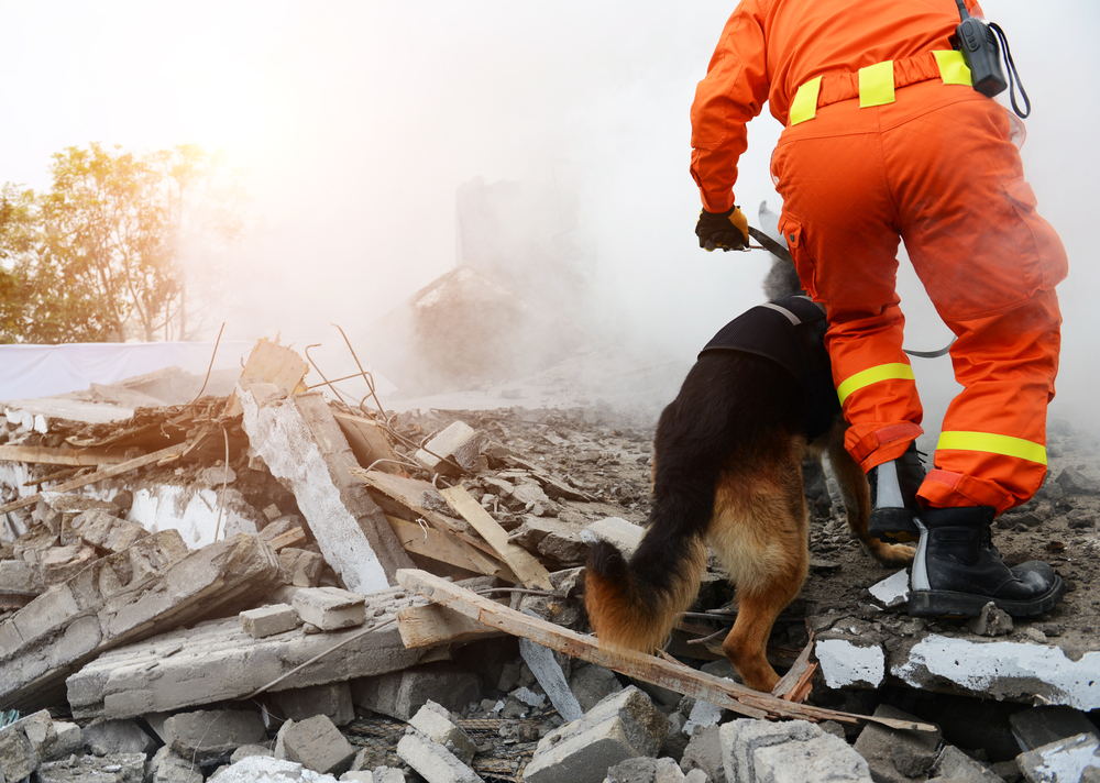 Scopri di più sull'articolo Siracusa: parte il corso per “Istruttore figurante per cane da soccorso in protezione civile”