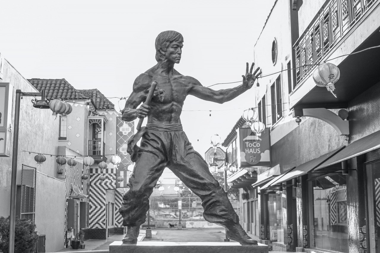 Scopri di più sull'articolo Stage di Jeet Kune Do a Palermo con il Maestro Giuseppe Zizo