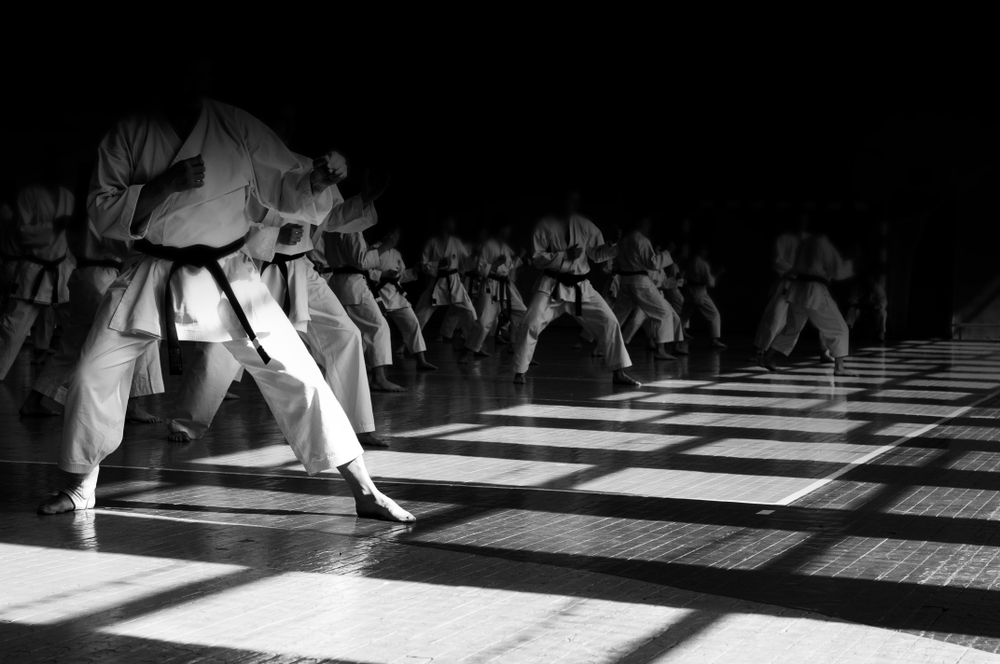 Scopri di più sull'articolo Stage di karate interstile: appuntamento a Roma il prossimo 7 novembre