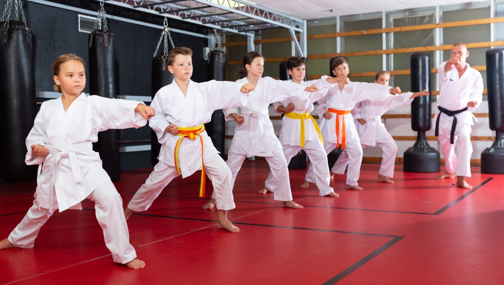 Scopri di più sull'articolo Karate: in partenza il corso di formazione per il passaggio di grado