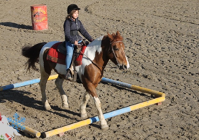 Scopri di più sull'articolo Le competizioni di gimkana scaldano l’inverno del settore equitazione