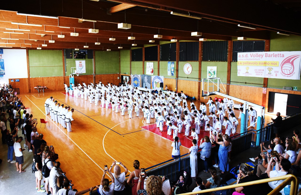 Scopri di più sull'articolo 250 atleti agli esami di grado di Taekwondo ITF