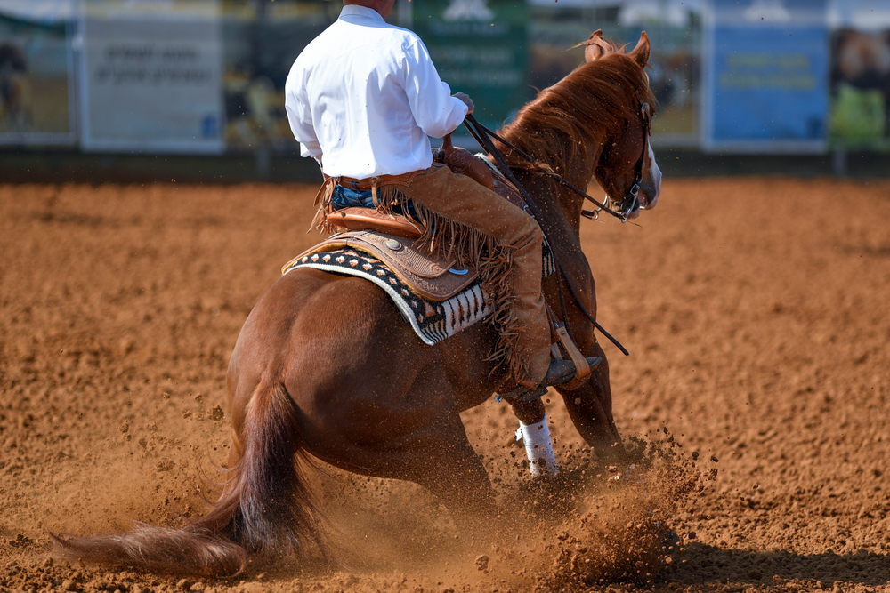 Scopri di più sull'articolo Reining for Fun: cresce l’entusiasmo per l’equitazione western