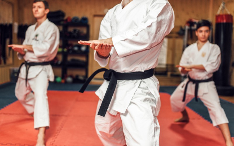 Scopri di più sull'articolo OPES Piemonte, settore karate: il 13 novembre la gara di Kata e Kumite