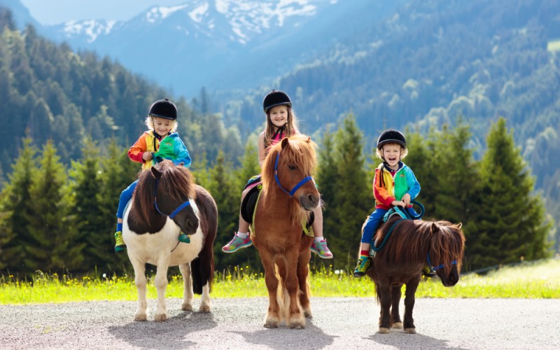 Scopri di più sull'articolo Settore equitazione: arriva Ponyamo, la nuova disciplina per i bimbi