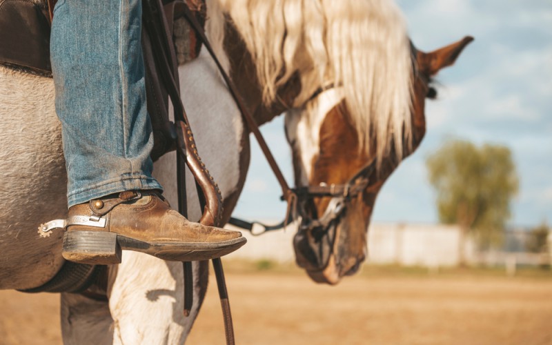 Scopri di più sull'articolo Settore equitazione OPES: Western&English Dressage, l’evento speciale di febbraio