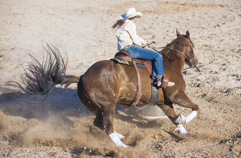Scopri di più sull'articolo Mountain Trail Horse Game: Martina Chinelli in Clinic 26-27 novembre