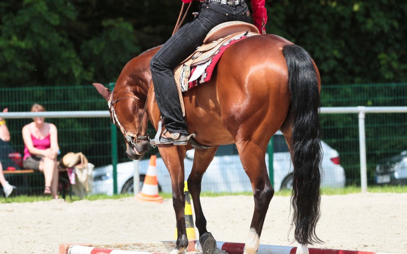 Scopri di più sull'articolo Equitazione: a maggio l’American Western Show decreterà il Campione dei Campioni di Gimkana