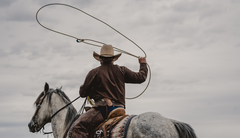 Scopri di più sull'articolo Equitazione: i veri Cawboy’s non possono perdere i Clinic di Ranch Roping 2023