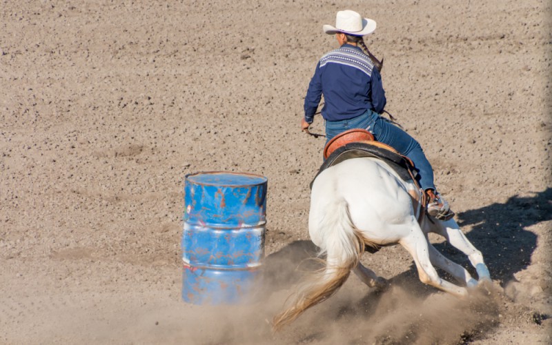 Scopri di più sull'articolo Settore equitazione OPES: ripartono il Barrel Racing e il Campionato regionale di Gimkana