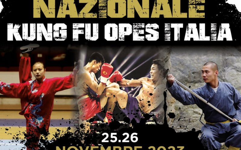 Scopri di più sull'articolo Novembre si chiude con il Campionato nazionale Kung fu
