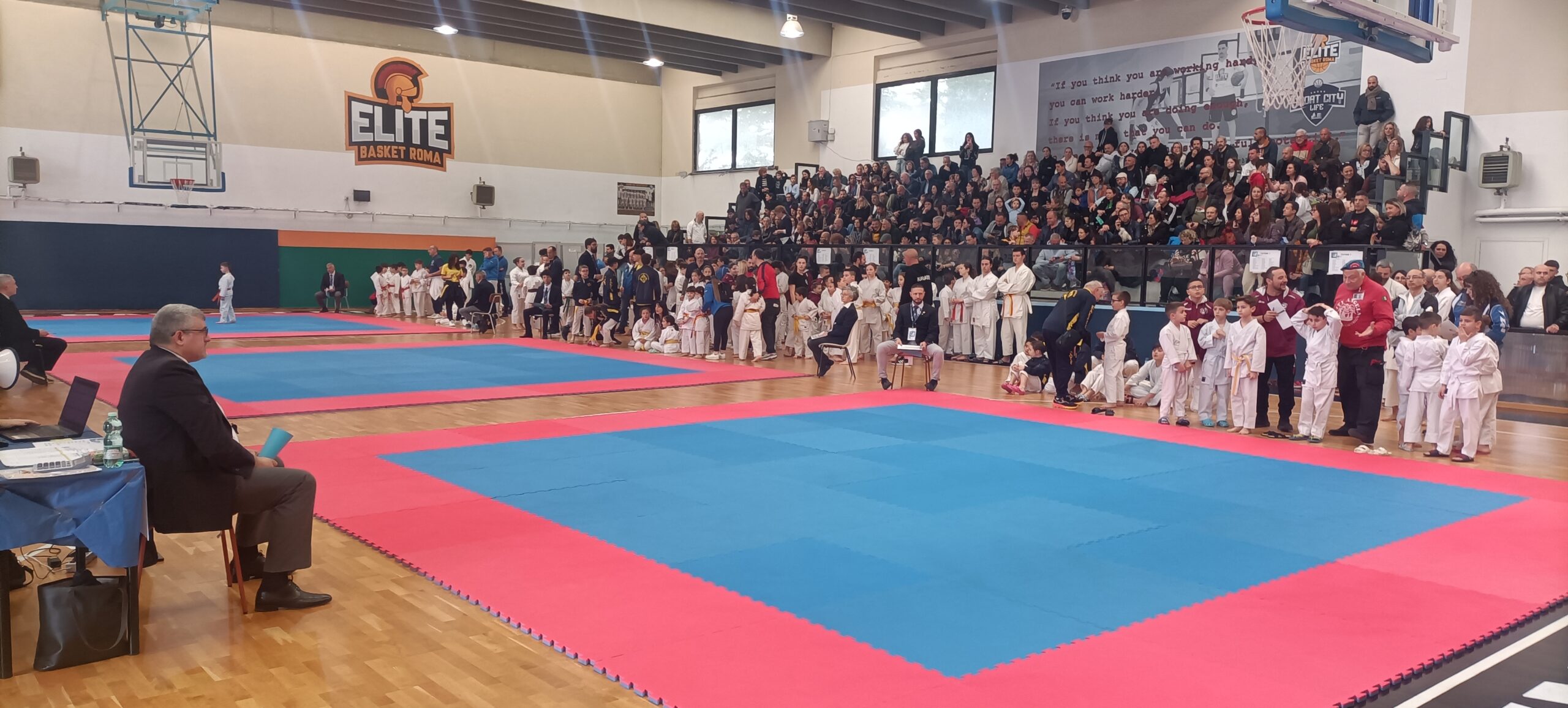 Scopri di più sull'articolo OPES Karate: il successo della Wado Cup 2024 