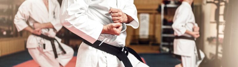 Scopri di più sull'articolo International Karate Champions Seminar: il primo appuntamento della nuova stagione