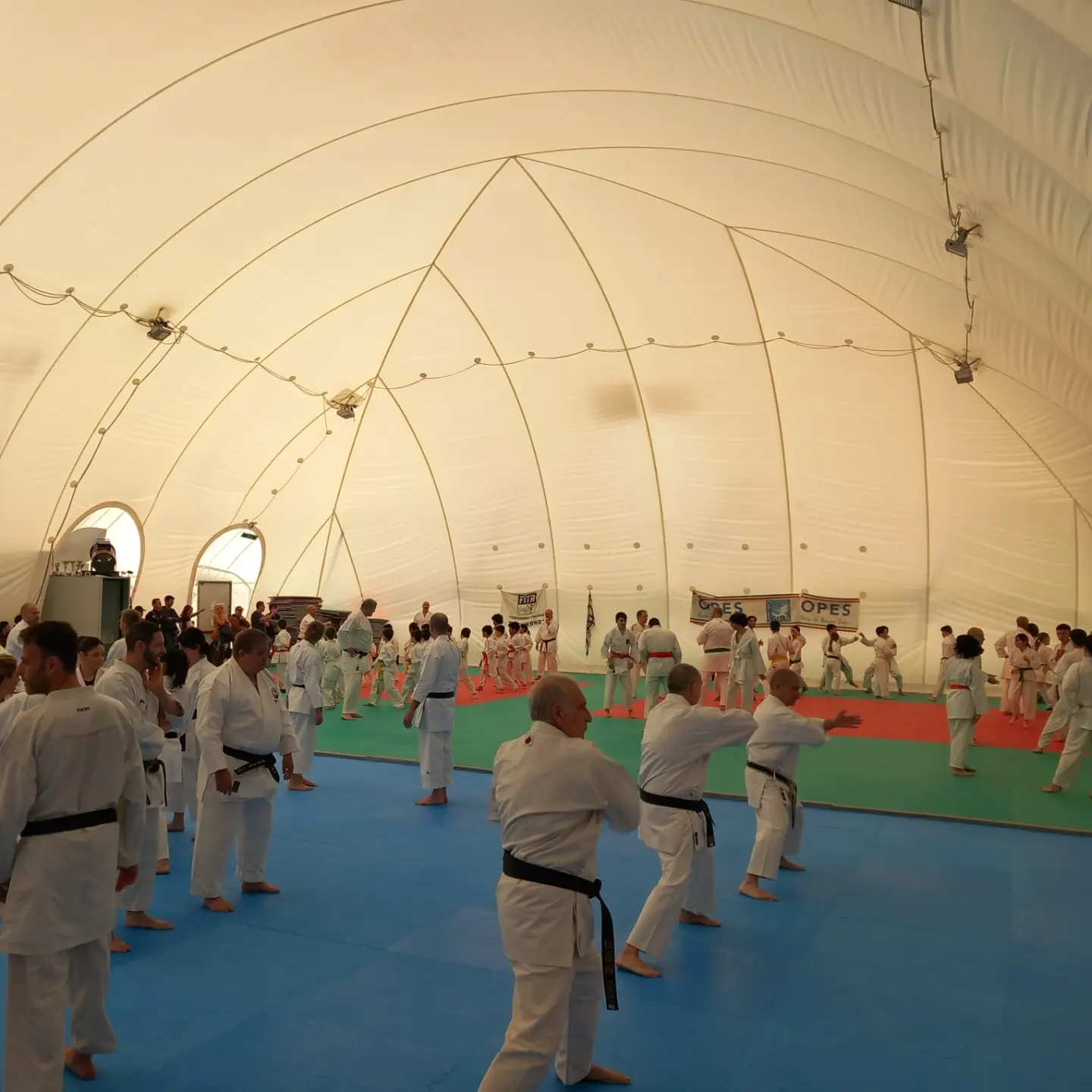 Scopri di più sull'articolo Settore Karate, gli ottimi risultati dello stage al Bracelli