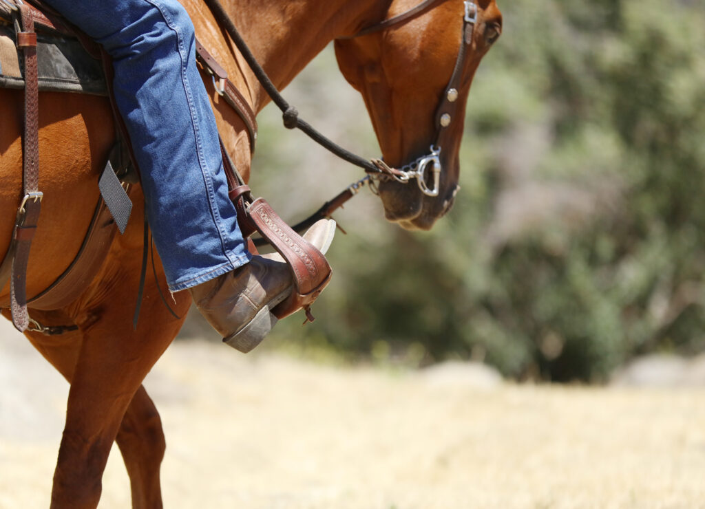 Equitazione di OPES: un'estate ricca di eventi tra campionati e formazione