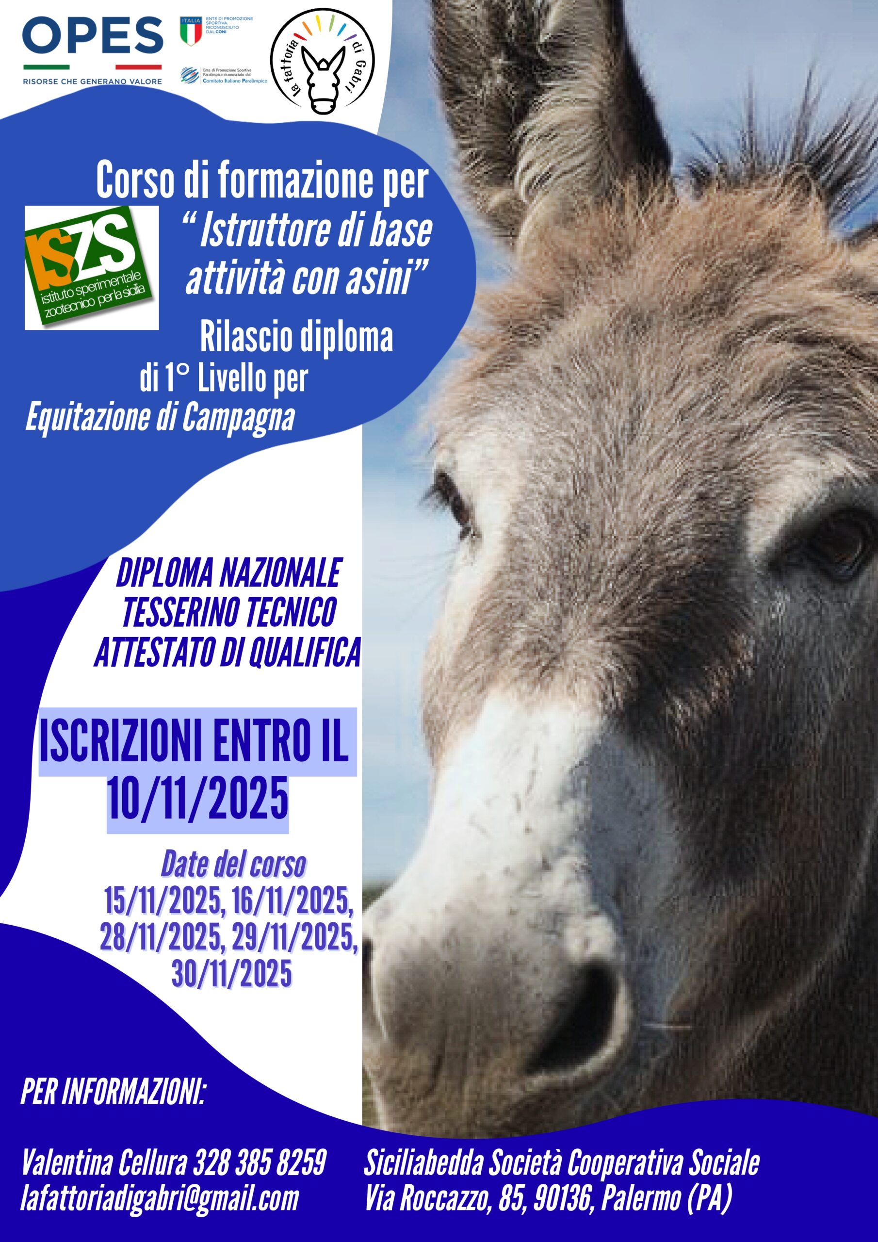 Corso di formazione per “Istruttore di base attività con gli asini”